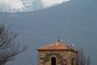 Alameda del Valle Iglesia parroquial cigueñas