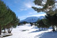 Cabezas de Hierro desde Cotos