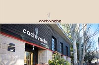 Cabrera Cachivache 1