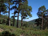 Panor&aacute;mica desde la Casa Eraso