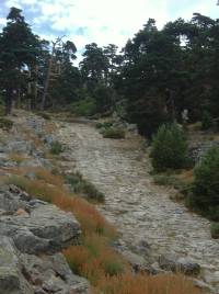 Calzada romana de La Fuenfr&iacute;a, camino del puerti