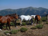 Index pagina de inicio aventura