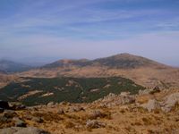 Machota alta, cumbre