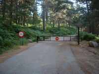 Inicio de la ruta a la Calzada romana