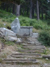 Fuente de Ant&oacute;n Ruiz Velasco