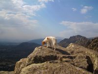 Sierra de la Cabrera