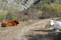 Somosierra llegando a la Chorrera