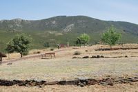 Territorio Museo Las Eras de Trillar