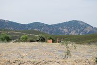 Territorio Museo Las Eras de Trillar