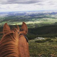 Centro Hípico Buitrago