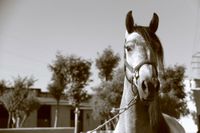 Buitrago Centro H&iacute;pico