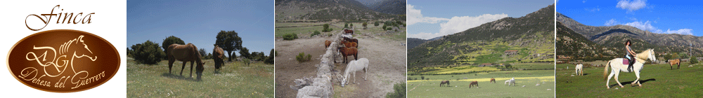 Dehesa del Guerrero 1