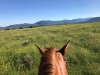 WhatsApp-Image-2019-10-24-at-9.07.56-AM-2-min