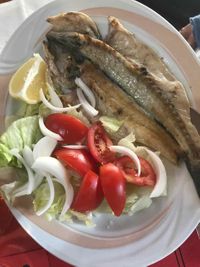 lubina_1