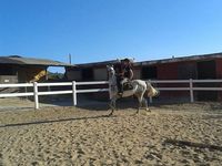 clases_013