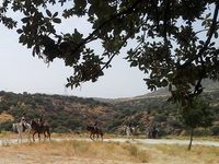 rutas_004