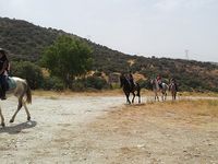 rutas_006