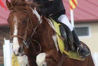 La Morada del caballo