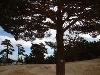 24 Panorámica pto. Fuenfría