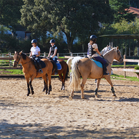 FORMACI&Oacute;N DRESSAGE CLUB