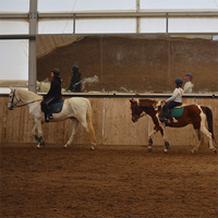 ESCUELA DE EQUITACIÓN