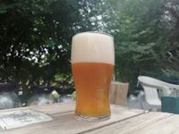 217595070_1565597310297252_4306625081163899650_n