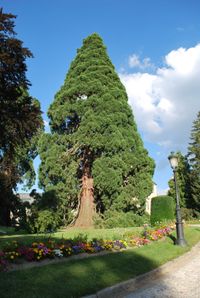 LLegando a los Jardines desde la Plaza de Espa&ntilde;a