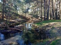 Peguerinos valle de en medio