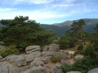 Mirador de los poetas