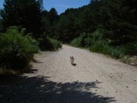 Valle de La Barranca