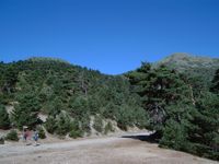 Camino viejo de Sergovia