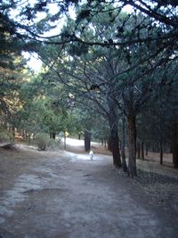 Inicio de la ruta GR10