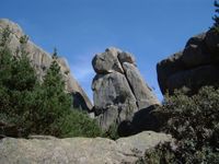 Jardin y risco de La Campana