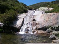 Descenso del río Manzanares
