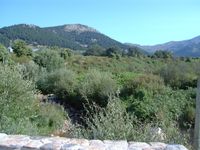 Valle de la Barranca