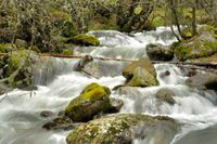 R16 Cotos - Rascafria por el lozoya