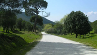 RUTA 163