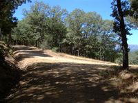 Encuentro camino con pista