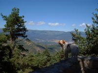 Panor&aacute;mica durante la ruta