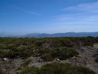 Puerto del Revent&oacute;n