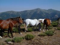 Camino de Pe&ntilde;a del &Aacute;guila