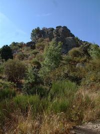 Collado entrecabezas