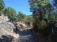Ruta 265