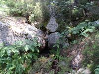 Fuente de los acebos