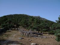 Camino de la Pe&ntilde;ota