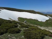 Ventisqero de La Condesa