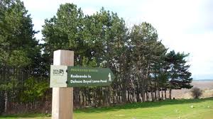 Rodeando la Dehesa Boyal