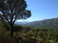 64_panoramica_hacia_oeste