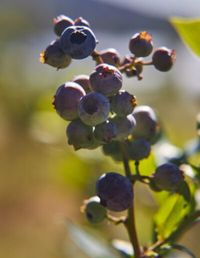 01_5263-_media-400x516