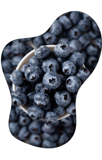 Ecosdellozoya-productos-1